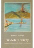 Widok z wieży