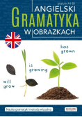 Angielski. Gramatyka w obrazkach Poziom A1 - B1