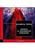 Zaklęty w szerszenim gnieździe