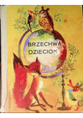 Brzechwa Dzieciom
