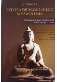 Ozdoba drogocennego wyzwolenia