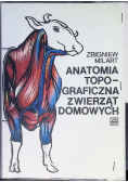 Anatomia topograficzna zwierząt domowych