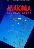 Anatomia błyskawicznie