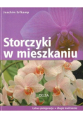 Storczyki w mieszkaniu