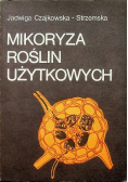 Mikoryza roślin użytkowych