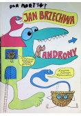 Androny