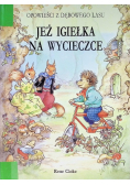Jeż igiełka na wycieczce