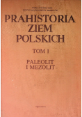 Prahistoria ziem Polskich Tom I