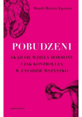 Pobudzeni