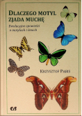 Dlaczego motyl zjada muchę