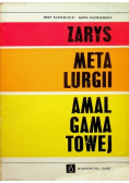 Zarys metalurgii amalgamatowej