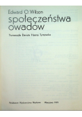 Społeczeństwa owadów