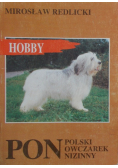 Pon Polski owczarek nizinny/ Dog niemiecki