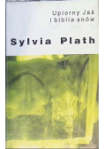 Upiorny Jaś i biblia snów