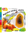 Myszka szuka domu