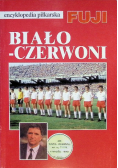 Encyklopedia piłkarska Fuji rocznik 94-95