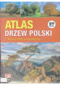 Atlas drzew Polski Przewodnik przyrodnika