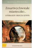 Zmartwychwstałe miasteczko literackie oblicza sztetł