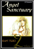 Angel Sanctuary Tom 2