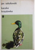 Kaczka krzyżówka