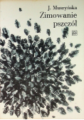 Zimowanie pszczół