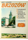 Brzozów i okolice