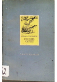 Ciche góry