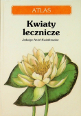 Kwiaty lecznicze atlas