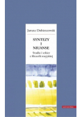 Syntezy i niuanse. Studia i szkice z filozofii rosyjskiej