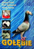 Gołębie