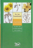 Zielnik