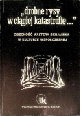 Drobne rysy w ciągłej katastrofie