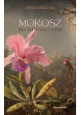 Mokosz