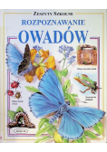 Rozpoznawanie owadów