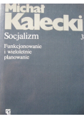 Socjalizm Tom 3