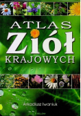 Atlas ziół krajowych
