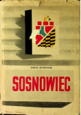 Sosnowiec Drogi i czynniki rozwoju miasta przemysłowego