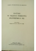 Dafnis w drzewo Bobkowe przemienieła się