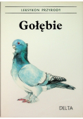 Gołębie leksykon przyrody