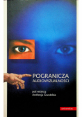 Pogranicza audiowizualności