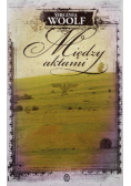 Między aktami