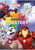 Pokoloruj bohatera