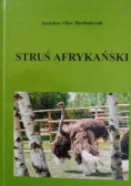 Struś Afrykański