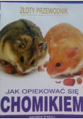 Jak opiekować się chomikiem
