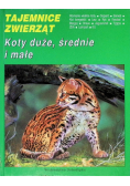 Tajemnice zwierząt koty duże średnie i małe