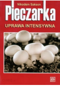 Pieczarka Uprawa intensywna