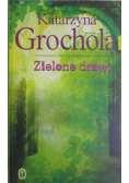 Zielone drzwi