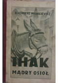 Ihak mądry osioł, 1915 r.