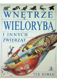 Wnętrze Wieloryba i innych zwierząt