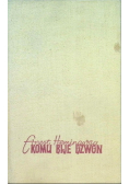 Komu bije dzwon
